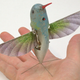 Illustration for article titled The Most Uncanny Robotic Animals That Humankind Has Ever Invented